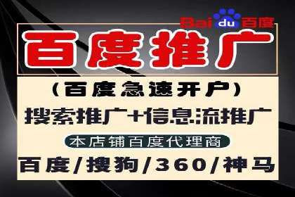 百度SEO推广策略深度解读：某企业网络营销的胜利之路